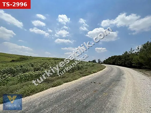 KARLIK'da ANAYOL KENARI TEK TAPU TARLA!